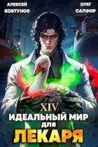 Идеальный мир для Лекаря 14 (СИ)