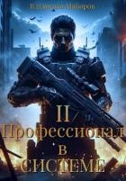 Профессионал в системе. Книга 2 (СИ)