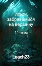 Игрок, забравшийся на вершину. Том 11 (СИ)