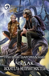 Чудак. Неправильный вор