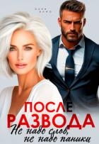 После развода. Не надо слов, не надо паники (СИ)